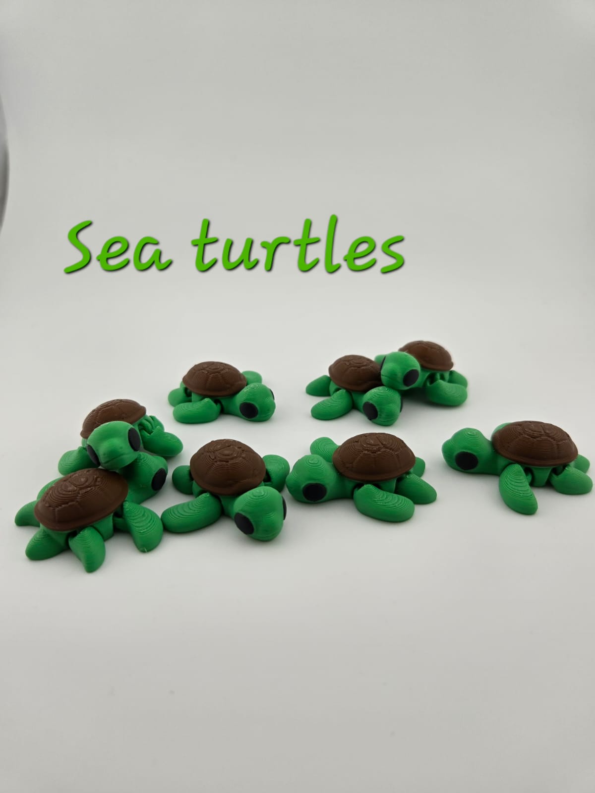 Sea Turtles
